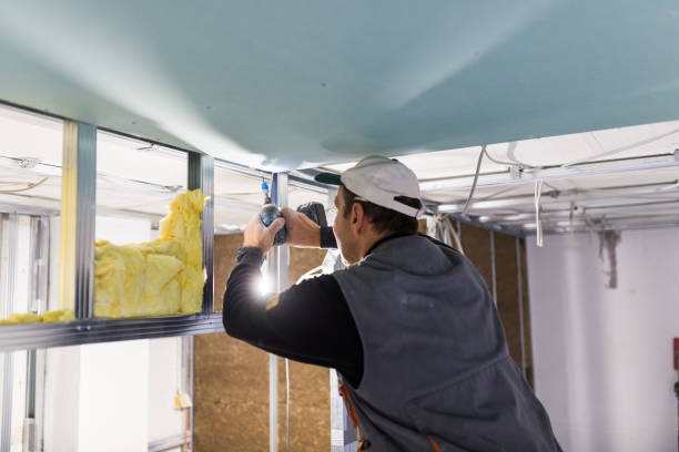 Best Geographic-Specific Insulation Services in Buffalo, TX